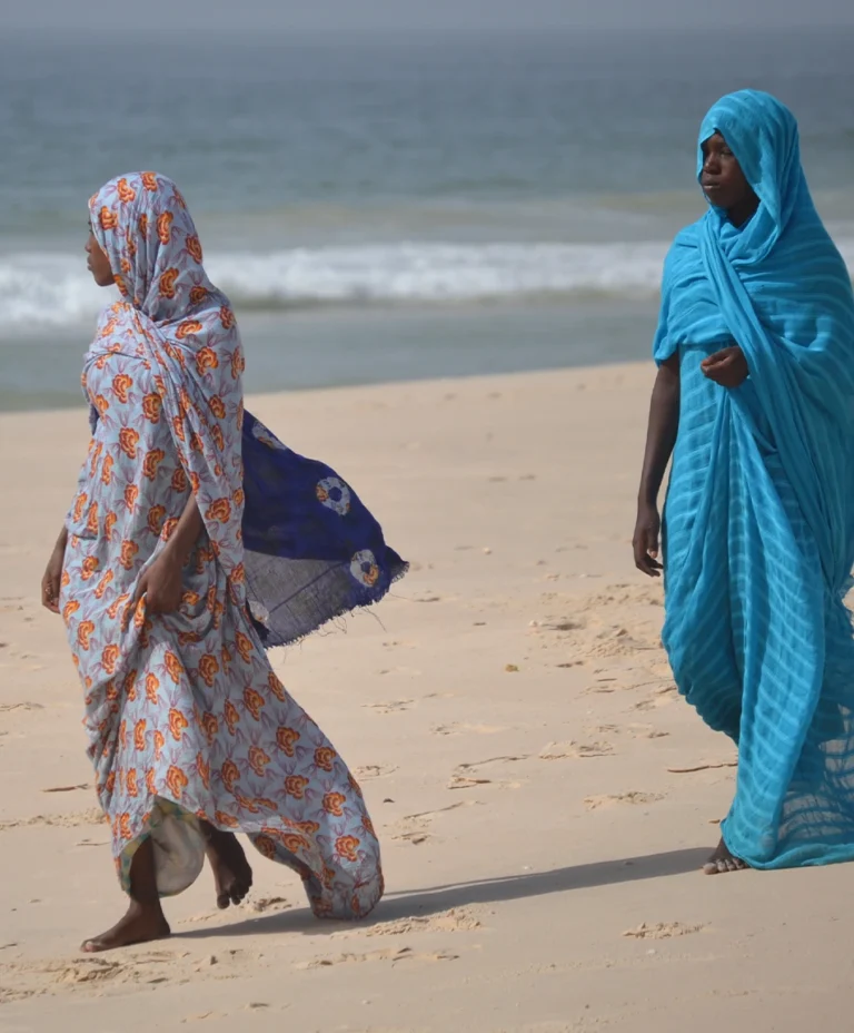 mesa de trabajo 33 (1)